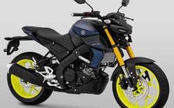 Yamaha "âm thầm" ra mắt naked bike MT-15, giá 57 triệu đồng