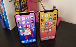 Đây là lý do Apple không bao giờ sản xuất iPhone tại Mỹ