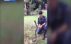 “Người Nọc Độc” Thái Lan bị rắn cắn hỏng tay vẫn ngày ngày lao đi bắt rắn