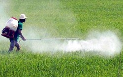 Tổng thống Emmanuel Marcon: Không thể cấm sử dụng glyphosate ở Pháp