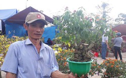 Độc lạ: Từ bờ bụi, hoa ngũ sắc thành bonsai trình làng Tết