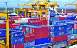 Hàng vạn container phế liệu chất đống, doanh nghiệp khóc với Thủ tướng