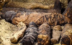 Phát hiện "đại gia đình" xác ướp trong hầm mộ 2.000 năm ở Ai Cập