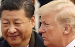 Donald Trump và Tập Cận Bình sắp đến Việt Nam gặp nhau?