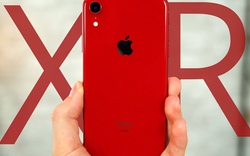 Mua iPhone Xr đỏ hay Galaxy S9+ Vang đỏ “chất” hơn?