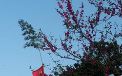 Tục dựng nêu, dán giấy đỏ cầu may chiều 30 Tết của người Nùng xứ Lạng