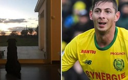 CẢM ĐỘNG: Chú chó của Emiliano Sala chờ cậu chủ trở về…