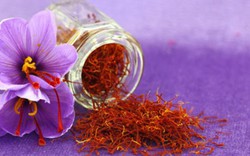 Thâm nhập thủ phủ “vàng đỏ” saffron ở Iran