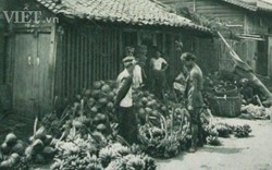 Hình ảnh hiếm có nông thôn TP.HCM trong cuốn sách xuất bản năm 1925