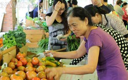 Làm nông nghiệp hữu cơ: Tốt nhưng tránh theo phong trào, ảo tưởng