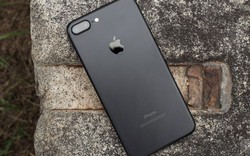 Apple thay đổi iPhone 7 và iPhone 8 để được bán tại Đức