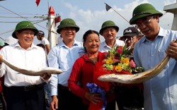 Ngư dân Quảng Trị trúng mẻ cá bè vàng hơn 7 tỷ đồng