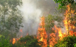 Nguy cơ cháy rừng cấp V, cấp bách triển khai giải pháp phòng chống