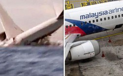 Chuyên gia: Máy bay MH370 vẫn nguyên vẹn dưới đại dương