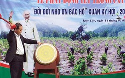 Ngọc Lặc (Thanh Hóa): Sẽ trồng thêm 700ha rừng