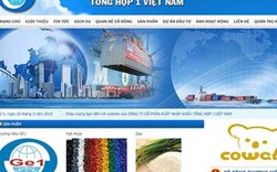 Nợ xấu trên 120 tỷ, TH1 của Shark Vương bị BIDV bán đấu giá