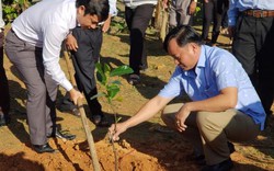 Nông dân Đà Nẵng tham gia Tết trồng cây, xây dựng nông thôn mới