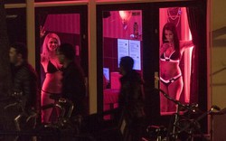 Gái mại dâm Amsterdam "khốn đốn" vì du khách: Thị trưởng lên tiếng