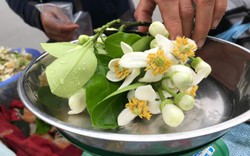 Đào phai, mai tàn, dân Hà thành chuộng thứ hoa quê thơm nức giá nửa triệu/kg