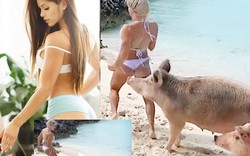 Người mẫu bikini đang chụp bị lợn cắn, sóng úp trôi người lẫn đồ