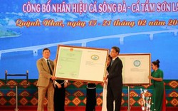 Tin vui: Công bố nhãn hiệu "Cá sông Đà - Cá tầm" cho tỉnh Sơn La