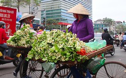 [CLIP, ẢNH]: Hoa bày đĩa gần triệu đồng khiến người dân Hà Nội thích thú