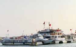 Quảng Ngãi: Bị khách chê, tàu cao tốc "chết đứng" trong mùa du lịch