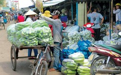 Tin vui từ An Giang: Ăn tết hoành tráng nhờ bán rau sang Campuchia