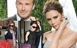 Vợ Beckham bị phản ứng vì kho túi làm từ da 130 con cá sấu