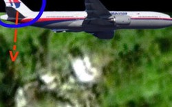 Manh mối mới từ cuộc tìm kiếm MH370 trong rừng Campuchia