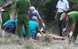 Nóng: Thi thể nữ lõa thể ở bìa rừng huyện Thuận Nam-Ninh Thuận