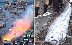 Bắt được loài cá "tận thế", người Nhật nơm nớp sợ thảm họa này