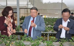 Chủ tịch Hội NDVN thích thú thưởng thức quả sạch ngay tại ruộng