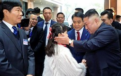 Chủ tịch Triều Tiên Kim Jong-un đã về khách sạn Melia