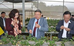 Hiến kế nâng tầm giá trị  đặc sản nông nghiệp Sơn La