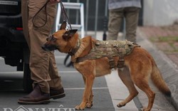 Đặc vụ Mỹ mang chó nghiệp vụ đến Nội Bài,rà soát chặt trước giờ G