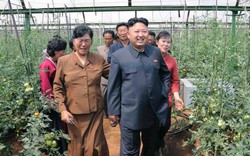 Nông nghiệp Triều Tiên dưới thời ông Kim Jong - un có gì khác biệt?