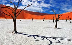 Sa mạc nguy hiểm nhất thế giới, nơi cồn cát đỏ rực mọc trên nền đất trắng như tuyết