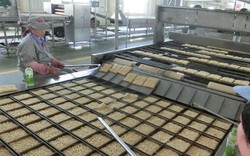 Cận cảnh cỗ máy trong 8 giờ có thể sản xuất ra 200.000 gói mì