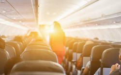 Máy bay tắt đèn, nữ hành khách New Zealand hốt hoảng vì bị sờ soạng