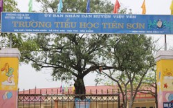 Thông tin mới nhất vụ thầy giáo bị tố sàm sỡ nhiều học sinh lớp 5