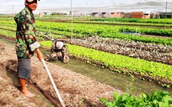 Cây trồng héo hon vì khô hạn, nhà nông vật vã tìm nước tưới