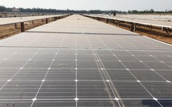 Quảng Ngãi: Dự án điện mặt trời đầu tiên "bỏ của chạy lấy người"?