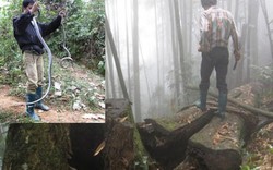Run bần bật chuyện lao vào rừng sâu để vồ "thần chết" ở Lào Cai