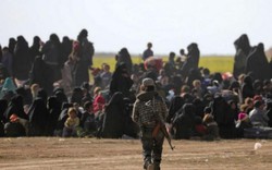 Đại chiến Syria: SDF ra tối hậu thư yêu cầu IS ở Baghouz đầu hàng