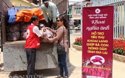 Hội Chữ thập đỏ Lâm Đồng giải cứu khoai cho nông dân Gia Lai