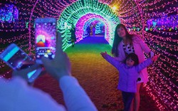 Hình ảnh "khu vườn ánh sáng" ở Hà Nội hút đông bạn trẻ đến check-in