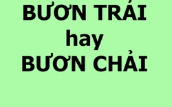 Những từ mọi người viết sai chính tả cực nhiều, liệu bạn có biết đáp án đúng?