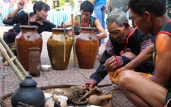 Đắk Lắk: Tái hiện Lễ cúng lúa mới của người M'Nông Gar