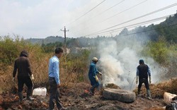 Lâm Đồng: Khủng khiếp, dân lại dùng cả xe tải đổ lợn chết xuống suối